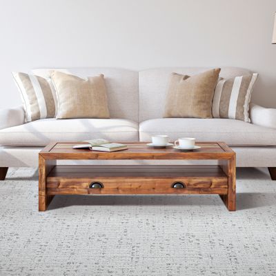 patterned carpets in a bright NC living room